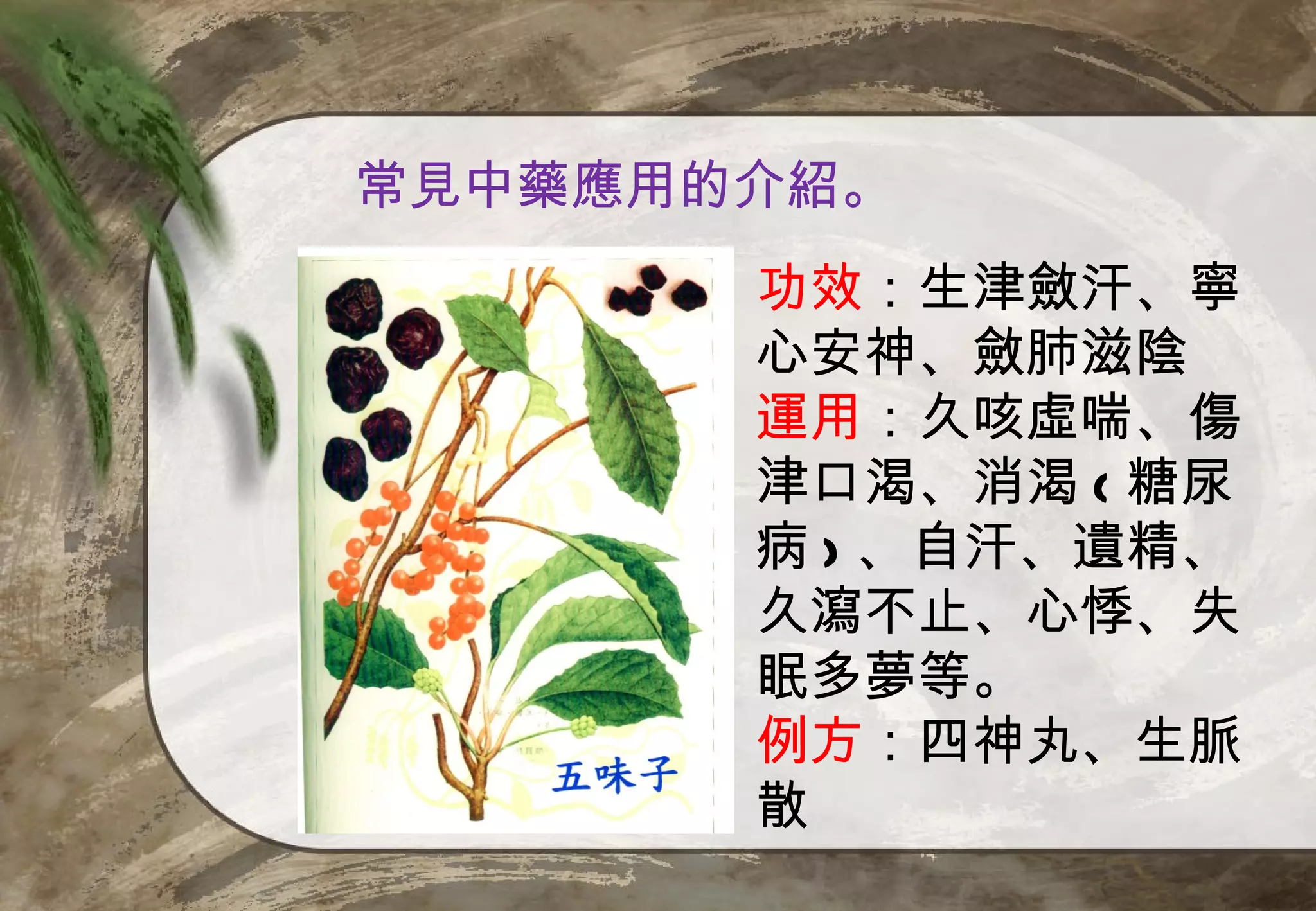 常見中藥應用的介紹。
       功效：生津斂汗、寧
       心安神、斂肺滋陰
       運用：久咳虛喘、傷
       津口渴、消渴 ( 糖尿
       病 ) 、自汗、遺精、
       久瀉不止、心悸、失
       眠多夢等。
       例方：四神丸、生脈
       散
 