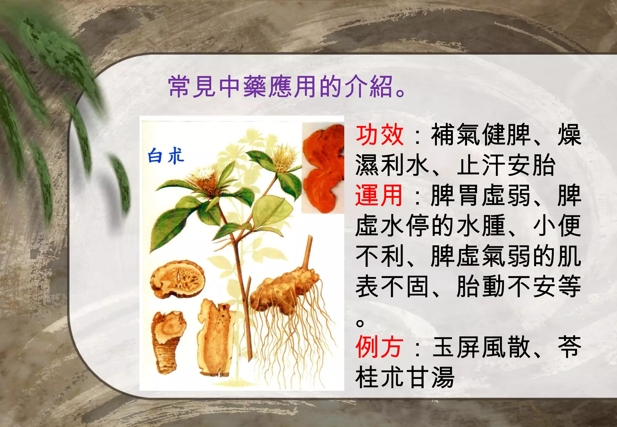 常見中藥應用的介紹。
       功效：補氣健脾、燥
       濕利水、止汗安胎
       運用：脾胃虛弱、脾
       虛水停的水腫、小便
       不利、脾虛氣弱的肌
       表不固、胎動不安等
       。
       例方：玉屏風散、苓
       桂朮甘湯
 
