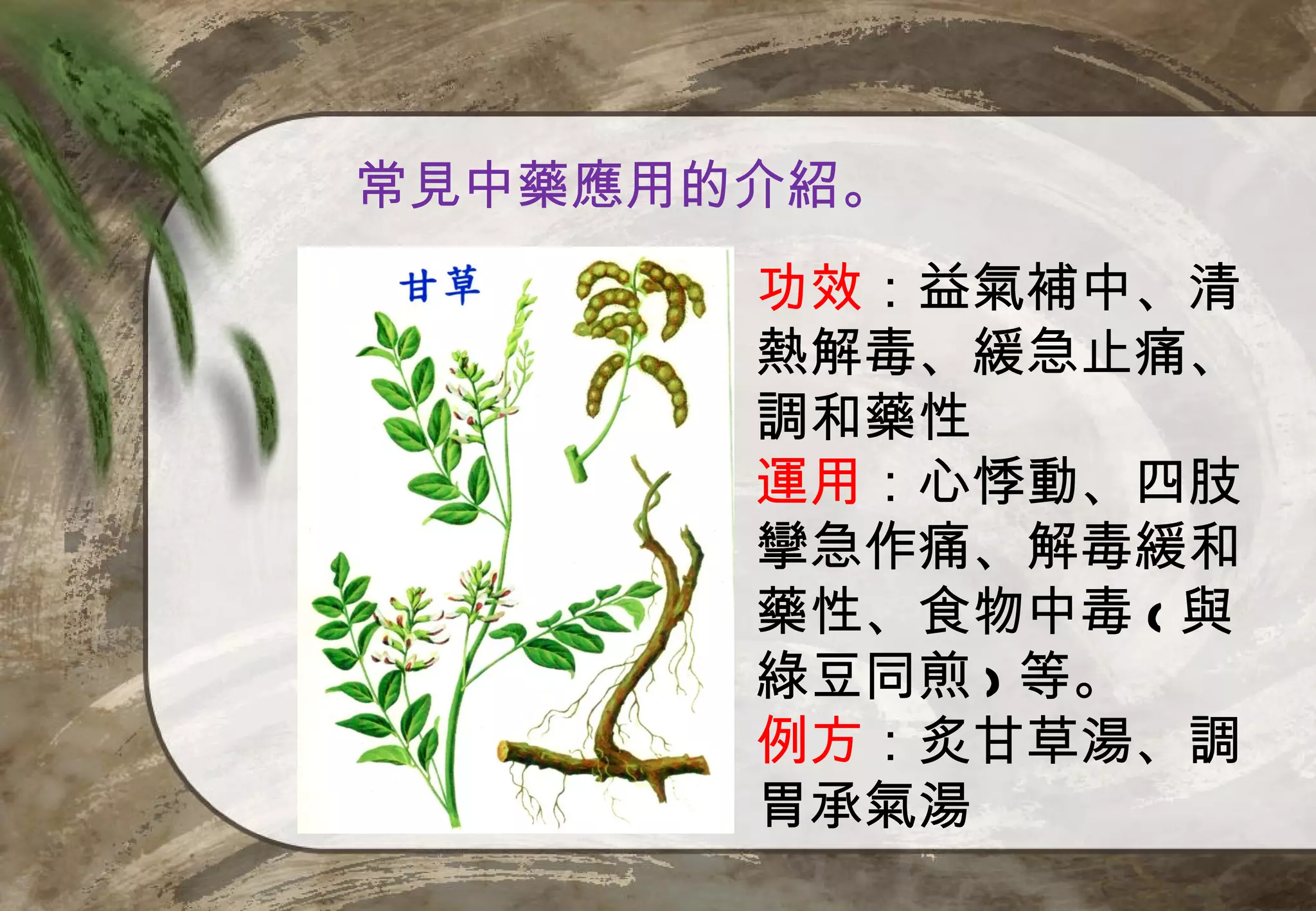 常見中藥應用的介紹。
       功效：益氣補中、清
       熱解毒、緩急止痛、
       調和藥性
       運用：心悸動、四肢
       攣急作痛、解毒緩和
       藥性、食物中毒 ( 與
       綠豆同煎 ) 等。
       例方：炙甘草湯、調
       胃承氣湯
 
