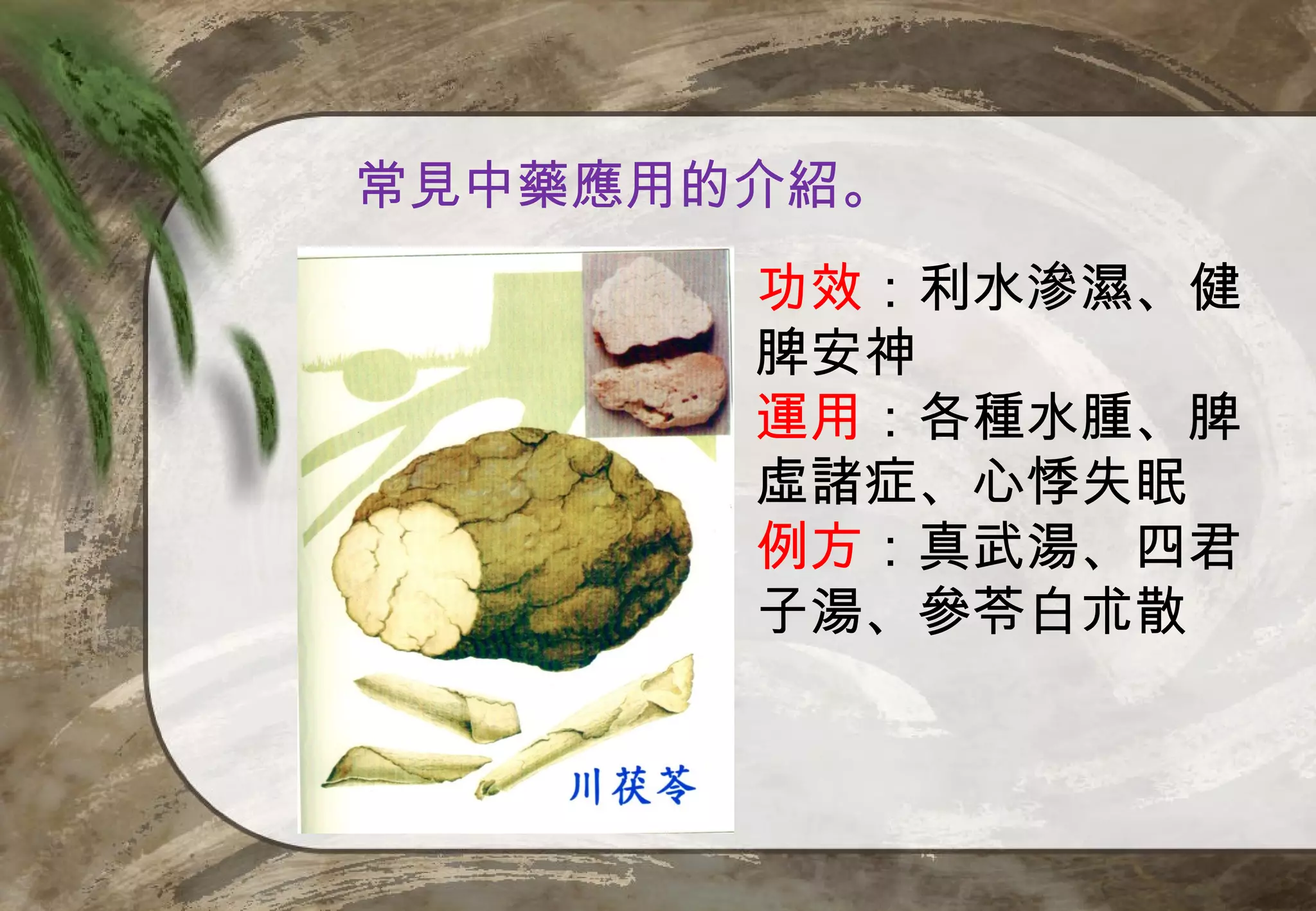 常見中藥應用的介紹。
       功效：利水滲濕、健
       脾安神
       運用：各種水腫、脾
       虛諸症、心悸失眠
       例方：真武湯、四君
       子湯、參苓白朮散
 