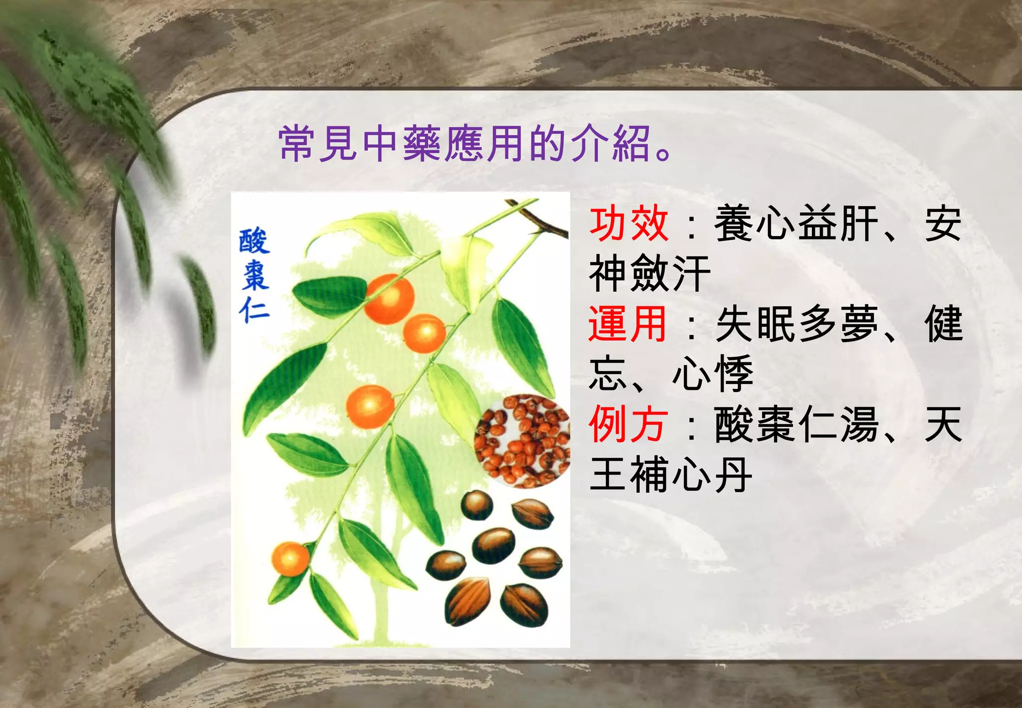 常見中藥應用的介紹。
       功效：養心益肝、安
       神斂汗
       運用：失眠多夢、健
       忘、心悸
       例方：酸棗仁湯、天
       王補心丹
 