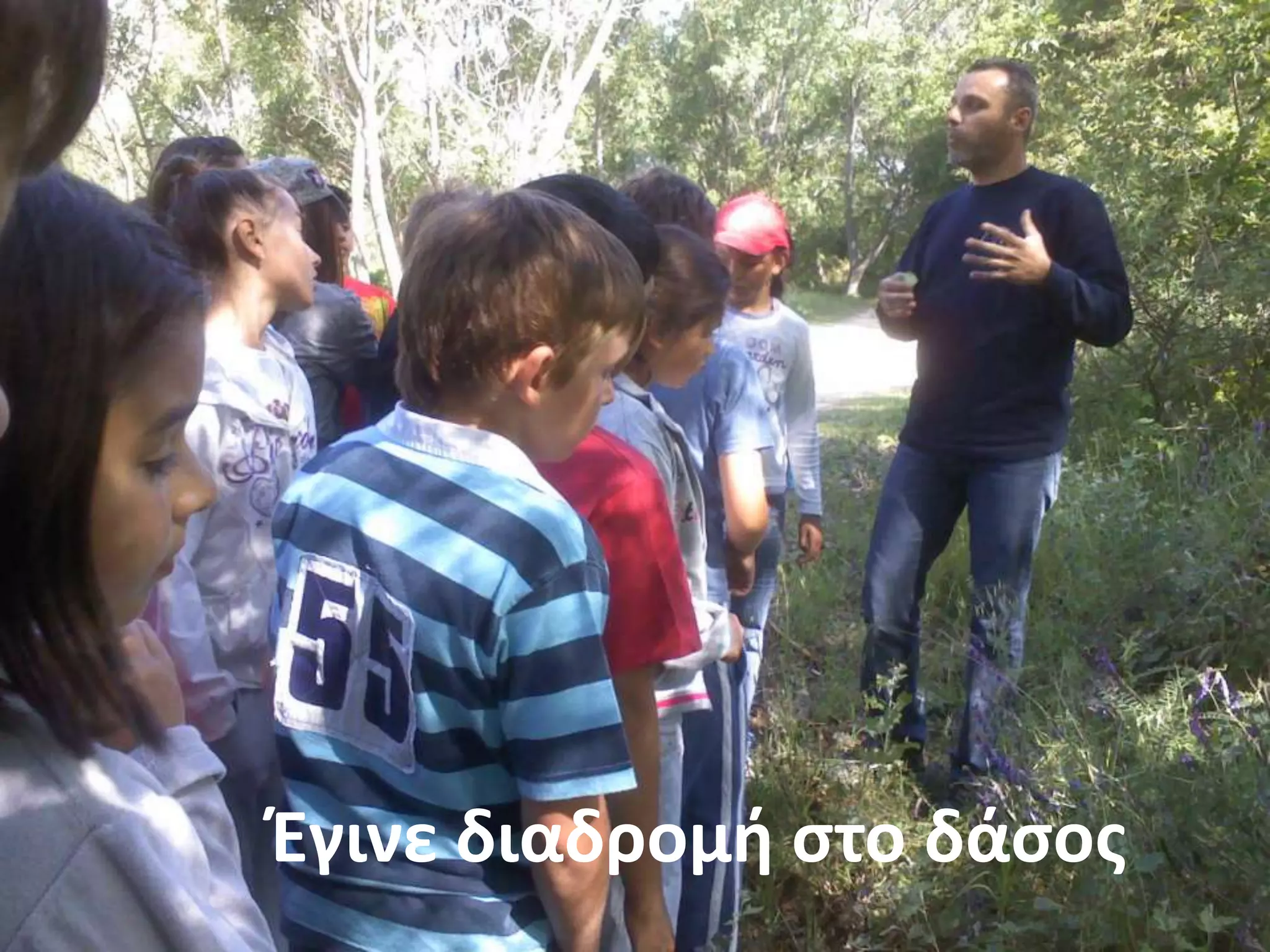 Ζγινε διαδρομι ςτο δάςοσ
 