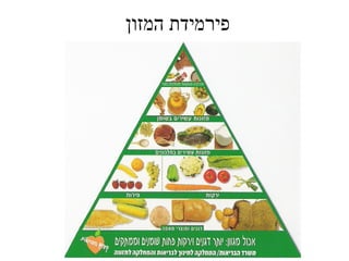 ‫פירמידת המזון‬
 