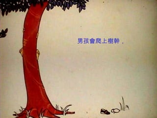 男孩會爬上樹幹，
 