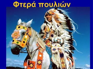 Φτερά πουλιών
 