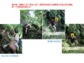 樹林裡一樣難走, 除了要爬上爬下, 還要時時提防四處攀爬/長滿尖刺的藤蔓,
       稍一不慎就會血濺五步!




                            看赤腳大仙的英姿




休息, 是為了走更遠的路
 