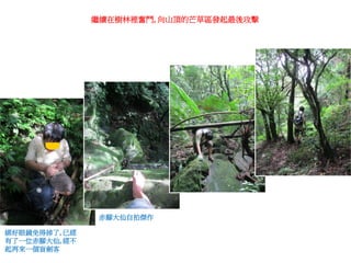 繼續在樹林裡奮鬥, 向山頂的芒草區發起最後攻擊




                赤腳大仙自拍傑作

綁好眼鏡免得掉了, 已經
有了一位赤腳大仙, 經不
起再來一個盲劍客
 