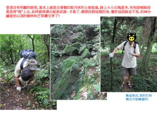 登頂沒有明顯的路徑, 基本上就是沿著類似乾河床的土坡挺進, 路上大小石塊甚多, 有些陡峭路段
真是得”爬”上去, 此時就得請出秘密武器 - 手套了, 順便找根短棍防身, 還好這段路並不長, 約20分
鐘就到山頂的樹林和芒草叢交界了!




                                          瞧這架式, 我的打狗
                                          棒法可是練過的!
 