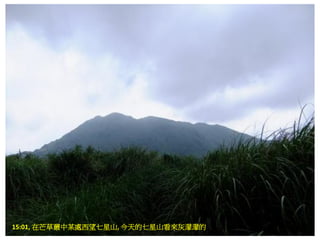 15:01, 在芒草叢中某處西望七星山, 今天的七星山看來灰濛濛的
 