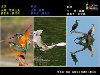 金牌        銀牌             銅牌
主題：翠鳥之愛   主題：搶奪          主  題：鸕鶿
攝影者：黃民雄   攝影者：陳啟迪        攝影者：吳金龍




                    雲嘉南 ˙ 濱海 ˙ 鳥類與生態攝影比賽作品
 