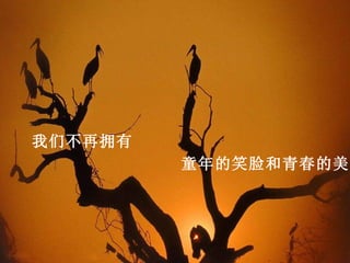 我们不再拥有
         童年的笑脸和青春的美丽
 