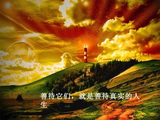 善待它们，就是善待真实的人
生
 