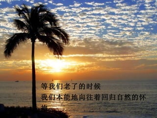 等我们老了的时候
我们本能地向往着回归自然的怀
抱
 