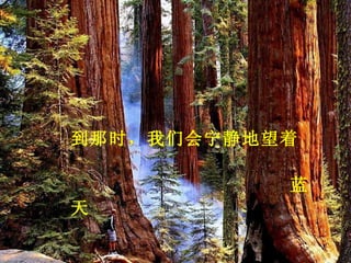 到那时，我们会宁静地望着

           蓝
天
 