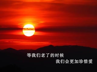 等我们老了的时候
      我们会更加珍惜爱
 