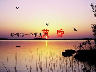 黄 昏
珍惜每一个黎明与
 