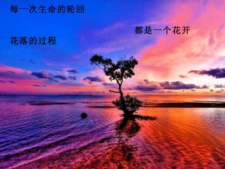 每一次生命的轮回

           都是一个花开
花落的过程
 