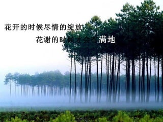 花开的时候尽情的绽放
      花谢的时候才会有 满地
的缤纷
 
