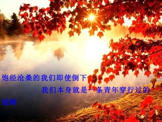 饱经沧桑的我们即使倒下
     我们本身就是一条青年穿行过的
道路
 