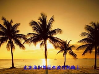 走在我们曾经奔波过的路上
 