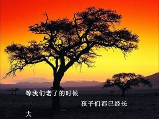 等我们老了的时候
           孩子们都已经长
大
 