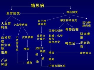糖尿病
 血管病变                             神经病变


                 自主神          感觉神经病变
大血管 小血管病变                                运动神
                 经病变
                                         经病变
病变
                         无痛性创伤 骨骼改变
                                         肌肉萎
                 皮肤出     机械、化学
血栓形   小   皮肤萎缩                           缩
                 汗减少     损伤
成     范
                         温度改变            步态改
      围                          畸型足
伴大血   坏                                  变
管         溃疡     皮肤干
      疽
                   裂破
阻塞                       溃疡              新持重点
                 损
                     感   感染
广泛               染
           感染
坏疽                       中等范围坏疽
 