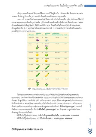 เอกสารประกอบการสอน เรียบเรียงโดยคุณครูอังสนา แสนเยีย 4


         พันธุกรรมของลักษณะถั่วที่เมนเดลได้รายงานเอาไว้มีอยู่ด้วยกัน 7 ลักษณะ คือ สีของดอก ตาแหน่ง
ของดอก สีเมล็ด รูปร่างเมล็ด รูปร่างของฝัก สีของฝัก และลักษณะความสูงของต้น
         นอกจากนี้ เมนเดลยังได้ทดลองผสมพันธุ์ถั่วในแบบเดียวกันกับลักษณะอื่น ๆ อีก 6 ลักษณะ ได้แก่ สี
ดอก ตาแหน่งของดอก สีเมล็ด รูปร่างเมล็ด รูปร่างของฝัก และสีของฝัก เมื่อพิจารณาอัตราส่วน พบว่าแต่ละ
ลักษณะที่ผสมพันธุ์กันในลูกรุ่น F2 ที่ได้ล้วนแต่มีอัตราส่วน ที่ใกล้เคียงกันทั้งหมด นั่นคือ ลักษณะเด่นต่อ
ลักษณะด้อย เป็น 3 : 1 โดยประมาณในทุกลักษณะ (ตารางที่ 1) การผสมพันธุ์พิจารณาเพียงลักษณะเดียว
แบบนี้เรียกว่า monohybrid cross




                       ที่มา http://faculty.uca.edu/johnc/mendel1440.htm

         ในการอธิบายรูปแบบของการถ่ายทอดยีน เมนเดลใช้สัญลักษณ์อักษรตัวพิมพ์ใหญ่แทนยีนเด่น
(dominant) และอักษรตัวพิมพ์เล็กแทนยีนด้อย (recessive) ปัจจุบันนิยมใช้ตัวอักษรย่อของคาจากลักษณะ
ด้อยเช่น ต้นสูง ใช้ตัว D และต้นเตี้ย ใช้ตัว d ซึ่งมาจากคาว่า dwarf ซึ่งในทางพันธุศาสตร์ เรียกรูปแบบของ
ยีนที่แตกต่างกัน ณ ตาแหน่งใดตาแหน่งหนึ่งบนโครโมโซมว่าแอลลีล (allele) เช่น allele D หรือ allele d
                                                                                                          B y ครูแป๋ว




เป็นต้น องค์ประกอบทางพันธุกรรมที่ประกอบด้วยคู่ของแอลลีล เรียกว่า จีโนไทป์ (genotype) และผลที่
เกิดขึ้นจากการแสดงออกของยีน เรียกว่า ฟีโนไทป์ (phenotype) เช่น ลักษณะความสูงของต้นถั่วและ
ลักษณะรูปร่างของเมล็ดเป็นต้น
         จีโนไทป์รุ่นพ่อแม่ (parent, P) ที่เป็นต้นสูง DD เรียกว่าเป็น homozygous dominant
         จีโนไทป์รุ่นพ่อแม่(parent, P) ที่เป็นต้นเตี้ย dd ว่า homozygous recessive
                                                                                                          ชีววิทยาน่ารู้




Biologynsp.wordpress.com
 