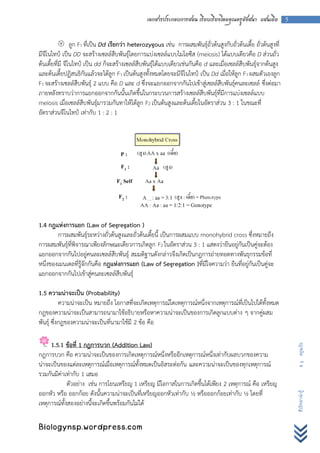 เอกสารประกอบการสอน เรียบเรียงโดยคุณครูอังสนา แสนเยีย 5


          ลูก F1 ที่เป็น Dd เรียกว่า heterozygous เช่น การผสมพันธุ์ถั่วต้นสูงกับถั่วต้นเตี้ย ถั่วต้นสูงที่
มีจีโนไทป์ เป็น DD จะสร้างเซลล์สืบพันธุ์โดยการแบ่งเซลล์แบบไมโอซีส (meiosis) ได้แบบเดียวคือ D ส่วนถั่ว
ต้นเตี้ยที่มี จีโนไทป์ เป็น dd ก็จะสร้างเซลล์สืบพันธุ์ได้แบบเดียวเช่นกันคือ d และเมื่อเซลล์สืบพันธุ์จากต้นสูง
และต้นเตี้ยปฏิสนธิกันแล้วจะได้ลูก F1 เป็นต้นสูงทั้งหมดโดยจะมีจีโนไทป์ เป็น Dd เมื่อให้ลูก F1 ผสมตัวเองลูก
F1 จะสร้างเซลล์สืบพันธุ์ 2 แบบ คือ D และ d ซึ่งจะแยกออกจากกันไปเข้าสู่เซลล์สืบพันธุ์คนละเซลล์ ซึ่งต่อมา
ภายหลังทราบว่าการแยกออกจากกันนั้นเกิดขึ้นในกระบวนการสร้างเซลล์สืบพันธุ์ที่มีการแบ่งเซลล์แบบ
meiosis เมื่อเซลล์สืบพันธุ์มารวมกันทาให้ได้ลูก F2 เป็นต้นสูงและต้นเตี้ยในอัตราส่วน 3 : 1 ในขณะที่
อัตราส่วนจีโนไทป์ เท่ากับ 1 : 2 : 1




1.4 กฎแห่งการแยก (Law of Segregation )
        การผสมพันธุ์ระหว่างถั่วต้นสูงและถั่วต้นเตี้ยนี้ เป็นการผสมแบบ monohybrid cross ซึ่งหมายถึง
การผสมพันธุ์ที่พิจารณาเพียงลักษณะเดียวการเกิดลูก F2 ในอัตราส่วน 3 : 1 แสดงว่ายีนอยู่กันเป็นคู่จะต้อง
แยกออกจากกันไปอยู่คนละเซลล์สืบพันธุ์ สมมติฐานดังกล่าวจึงเกิดเป็นกฎการถ่ายทอดทางพันธุกรรมข้อที่
หนึ่งของเมนเดลที่รู้จักกันคือ กฎแห่งการแยก (Law of Segregation )ที่มีใจความว่า ยีนที่อยู่กันเป็นคู่จะ
แยกออกจากกันไปเข้าสู่คนละเซลล์สืบพันธุ์

1.5 ความน่าจะเป็น (Probability)
           ความน่าจะเป็น หมายถึง โอกาสที่จะเกิดเหตุการณ์ใดเหตุการณ์หนึ่งจากเหตุการณ์ที่เป็นไปได้ทั้งหมด
กฎของความน่าจะเป็นสามารถนามาใช้อธิบายหรือหาความน่าจะเป็นของการเกิดลูกแบบต่าง ๆ จากคู่ผสม
พันธุ์ ซึ่งกฎของความน่าจะเป็นที่นามาใช้มี 2 ข้อ คือ

     1.5.1 ข้อที่ 1 กฎการบวก (Addition Law)
                                                                                                                B y ครูแป๋ว




กฎการบวก คือ ความน่าจะเป็นของการเกิดเหตุการณ์หนึ่งหรืออีกเหตุการณ์หนึ่งเท่ากับผลบวกของความ
น่าจะเป็นของแต่ละเหตุการณ์เมื่อเหตุการณ์ทั้งหมดเป็นอิสระต่อกัน และความน่าจะเป็นของทุกเหตุการณ์
รวมกันมีค่าเท่ากับ 1 เสมอ
             ตัวอย่าง เช่น การโยนเหรียญ 1 เหรียญ มีโอกาสในการเกิดขึ้นได้เพียง 2 เหตุการณ์ คือ เหรียญ
ออกหัว หรือ ออกก้อย ดังนั้นความน่าจะเป็นที่เหรียญออกหัวเท่ากับ ½ หรือออกก้อยเท่ากับ ½ โดยที่
                                                                                                                ชีววิทยาน่ารู้




เหตุการณ์ทั้งสองอย่างนี้จะเกิดขึ้นพร้อมกันไม่ได้

Biologynsp.wordpress.com
 
