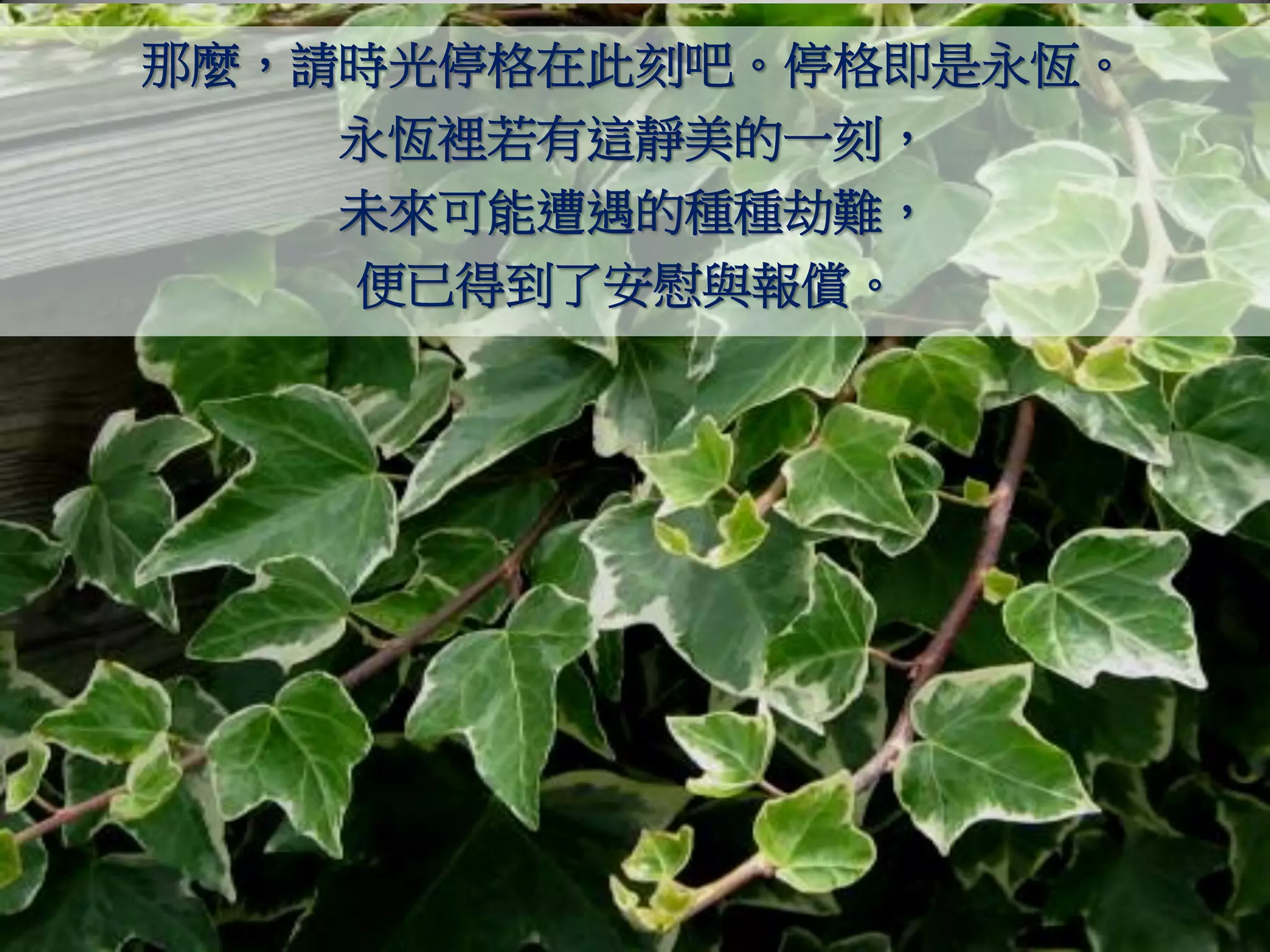 那麼，請時光停格在此刻吧。停格即是永恆。
    永恆裡若有這靜美的一刻，
    未來可能遭遇的種種劫難，
    便已得到了安慰與報償。
 