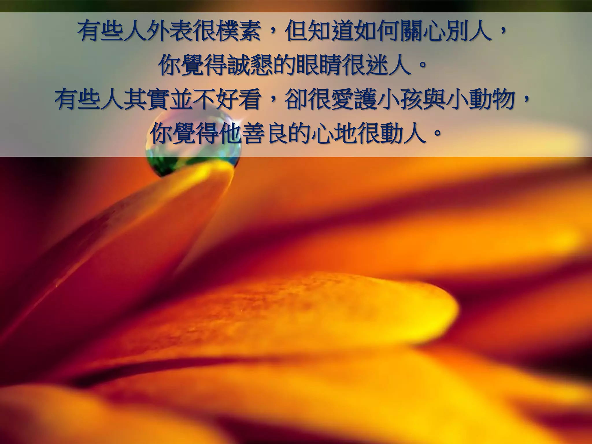 有些人外表很樸素，但知道如何關心別人，
    你覺得誠懇的眼睛很迷人。
有些人其實並不好看，卻很愛護小孩與小動物，
    你覺得他善良的心地很動人。
 