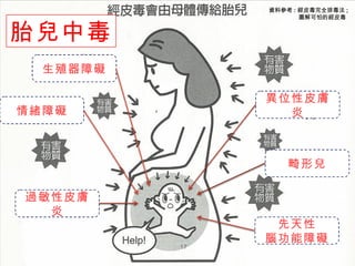 認識經皮毒 | PPT