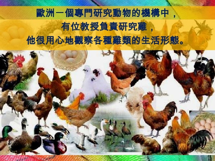 雞媽媽的啟蒙inspired By Mother Hen 雞媽媽的啟蒙inspired By Mother Hen