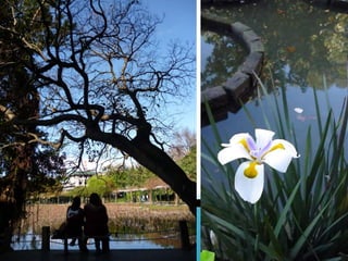 ֲ̨@Taipei Botanical Garden