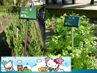 ֲ̨@Taipei Botanical Garden