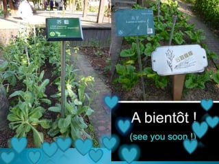 ֲ̨@Taipei Botanical Garden
