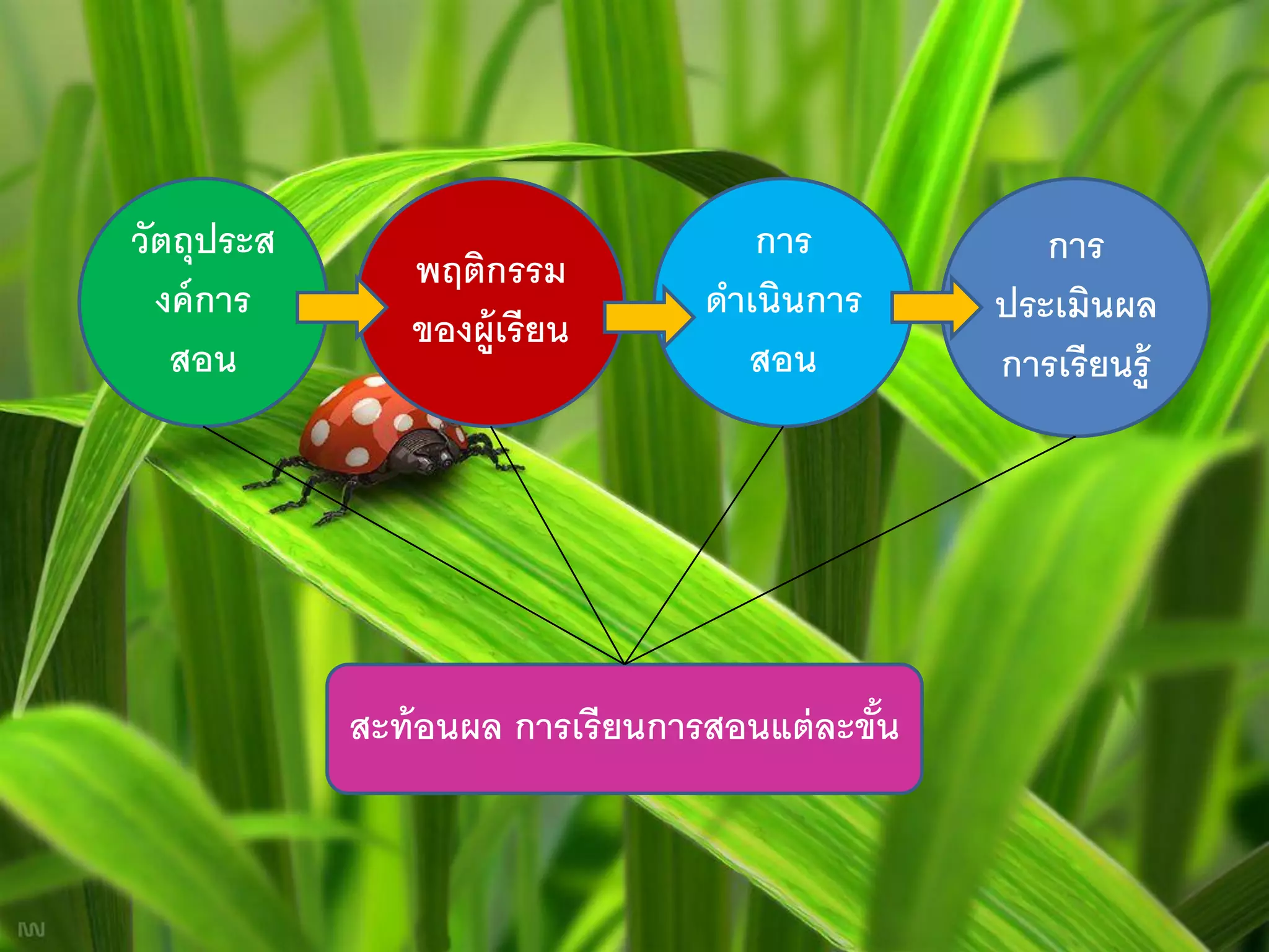 วัตถุประส                           การ            การ
               พฤติกรรม
  งค์ การ                        ดาเนินการ      ประเมินผล
               ของผู้เรียน
   สอน                             สอน          การเรียนรู้




            สะท้ อนผล การเรียนการสอนแต่ ละขัน
                                            ้
 