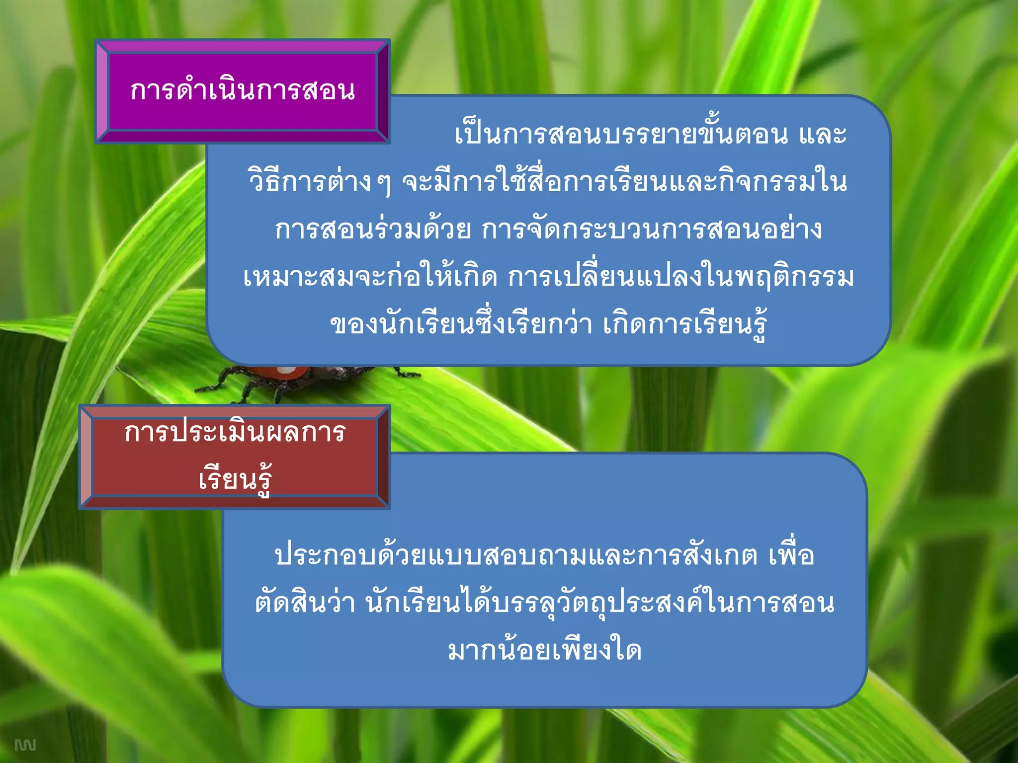 การดาเนินการสอน
                          เป็ นการสอนบรรยายขันตอน และ
                                                  ้
        วิธีการต่ างๆ จะมีการใช้ ส่ ือการเรียนและกิจกรรมใน
           การสอนร่ วมด้ วย การจัดกระบวนการสอนอย่ าง
       เหมาะสมจะก่ อให้ เกิด การเปลี่ยนแปลงในพฤติกรรม
               ของนักเรียนซึ่งเรียกว่ า เกิดการเรียนรู้

การประเมินผลการ
     เรียนรู้
          ประกอบด้ วยแบบสอบถามและการสังเกต เพื่อ
        ตัดสินว่ า นักเรียนได้ บรรลุวัตถุประสงค์ ในการสอน
                          มากน้ อยเพียงใด
 