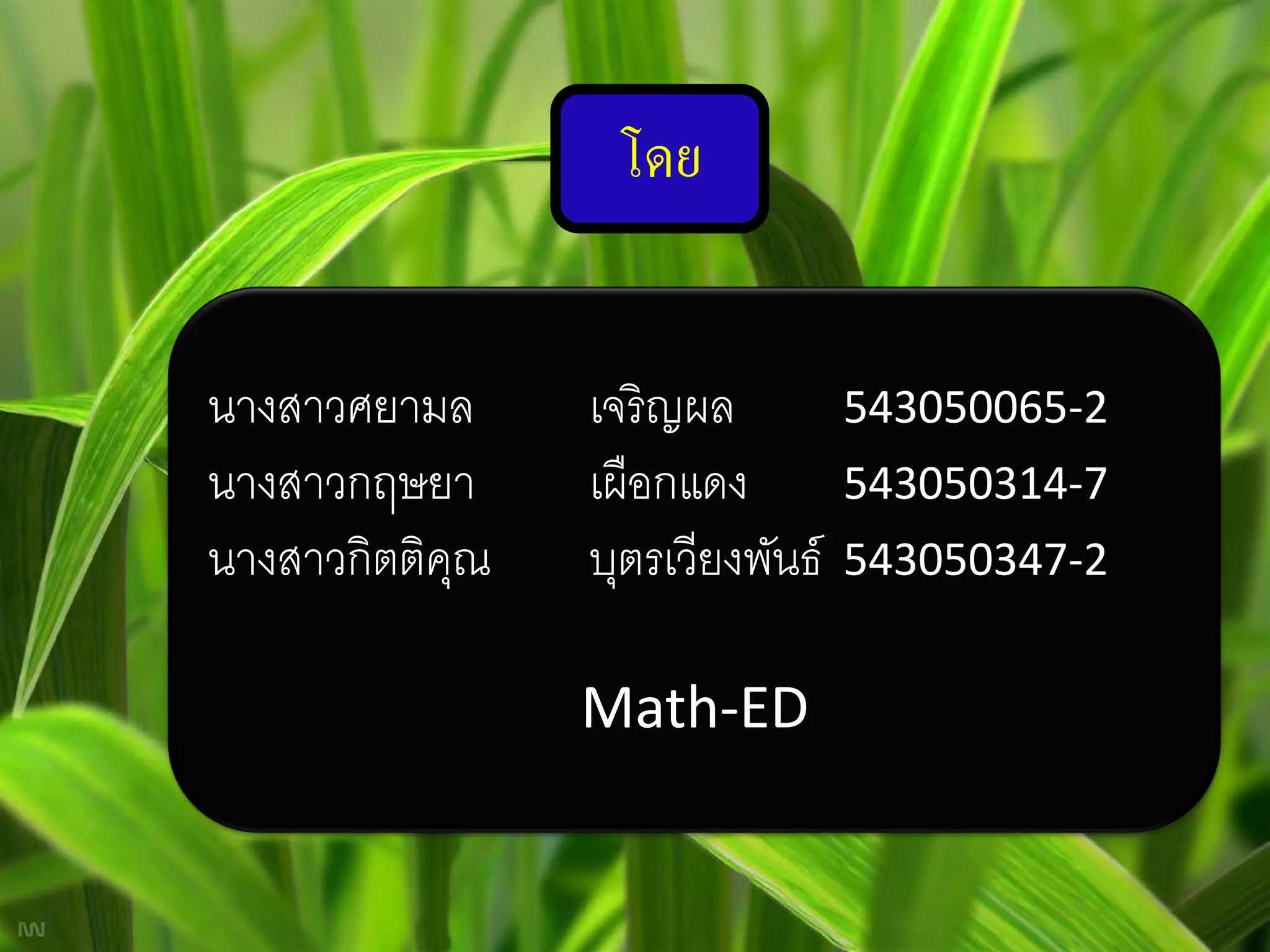 โดย


นางสาวศยามล     เจริญผล          543050065-2
นางสาวกฤษยา     เผือกแดง         543050314-7
นางสาวกิตติคณ
            ุ   บุตรเวียงพันธ์   543050347-2


                Math-ED
 