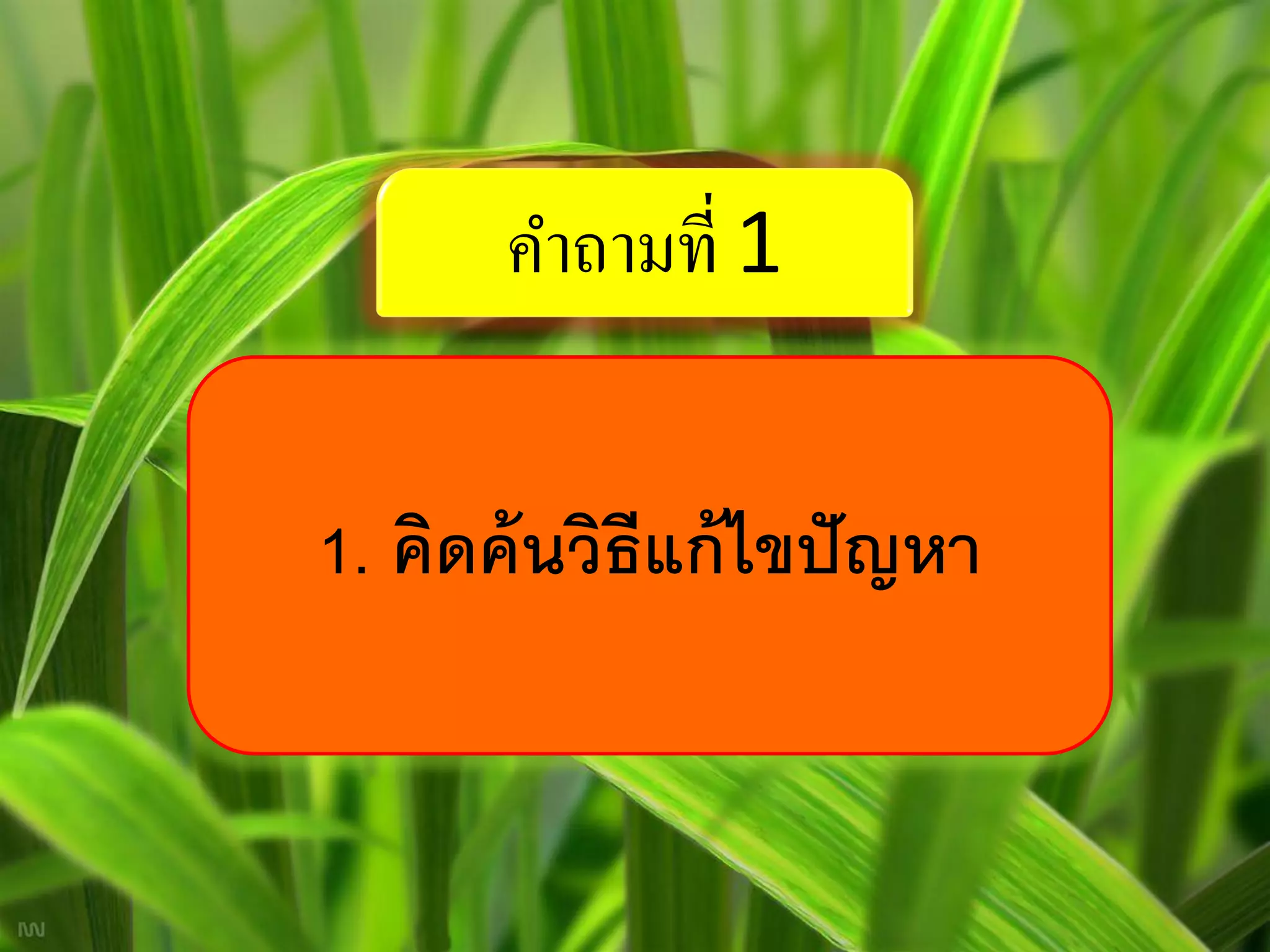 คาถามที่ 1


1. คิดค้ นวิธีแก้ ไขปั ญหา
 