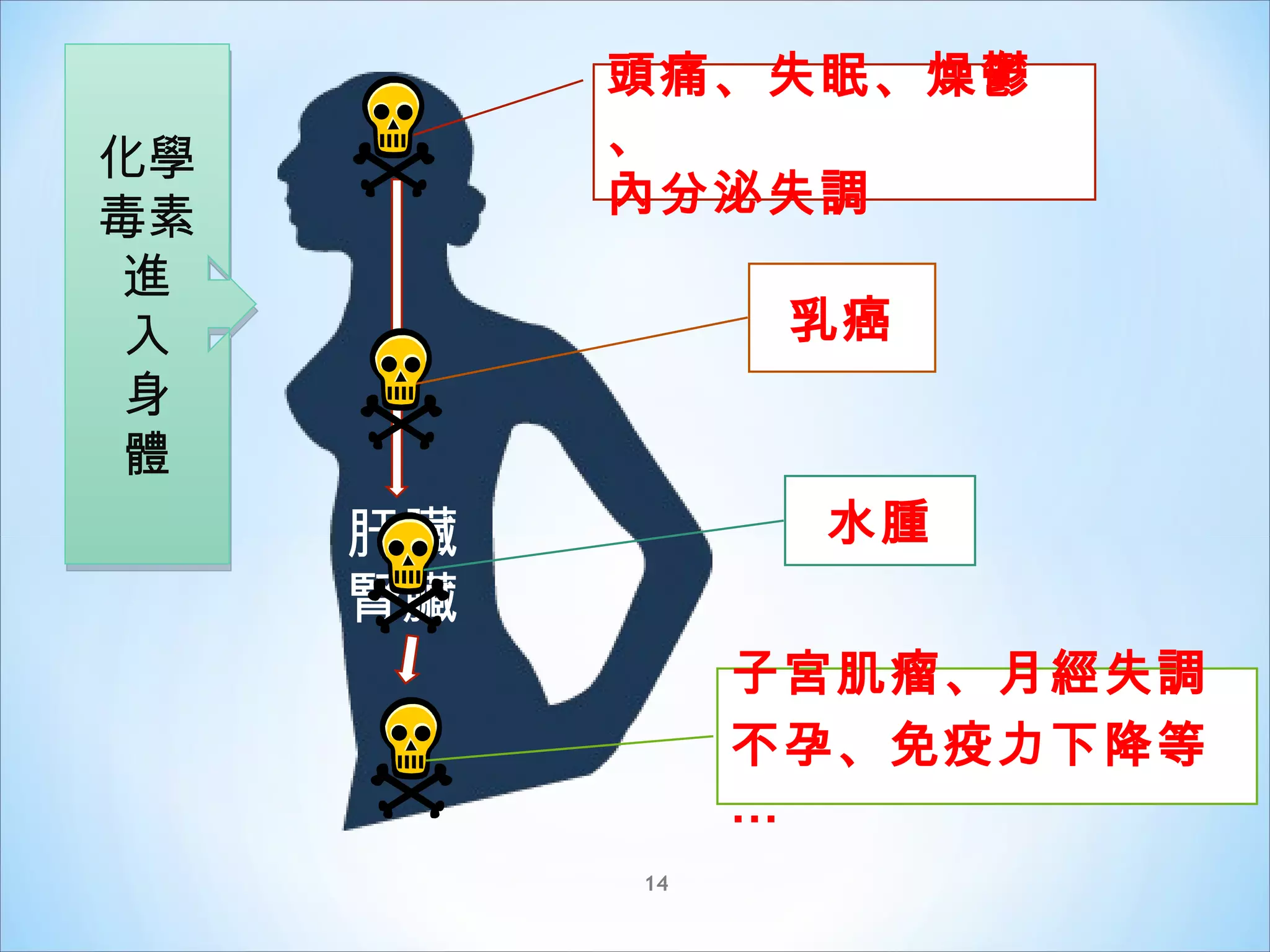 認識經皮毒 | PPS
