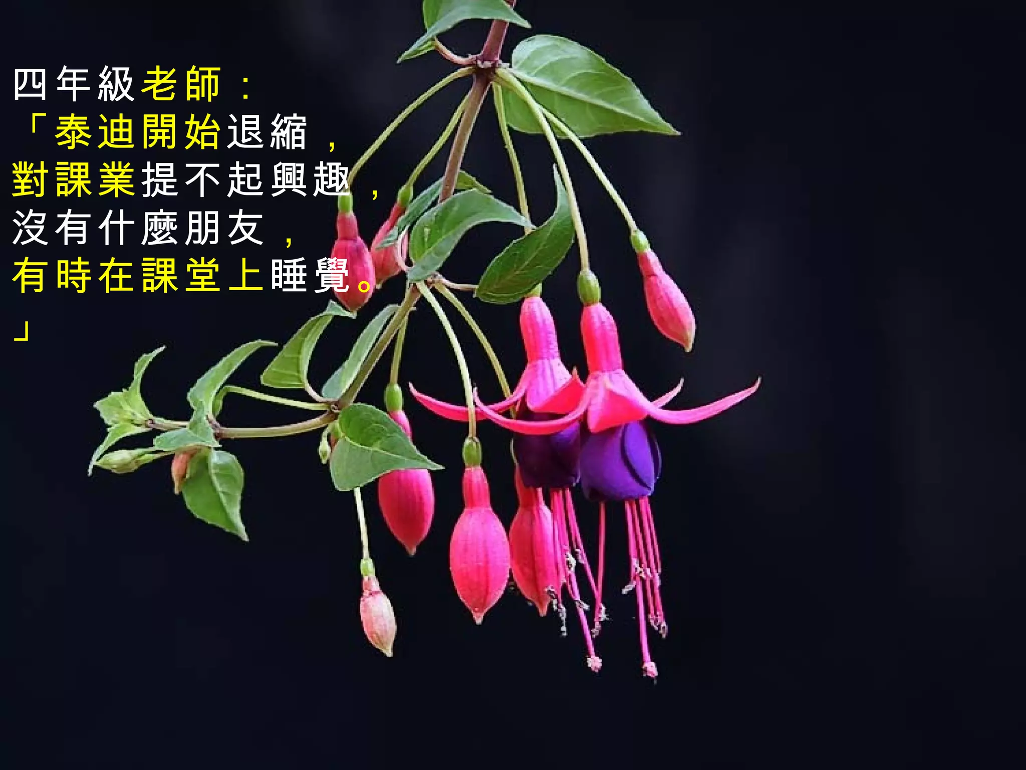 四年級老師：
「泰迪開始退縮，
對課業提不起興趣，
沒有什麼朋友，
有時在課堂上睡覺。
」
 