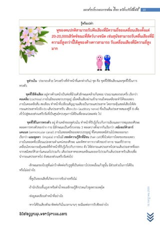 เอกสารประกอบการสอน เรื่อง อวัยวะรับสัมผัส         10



                                                       รู้หรือเปล่า
                               หูของคนปกติสามารถรับฟังเสียงที่มีความถี่ของเคลื่อนเสียงตั้งแต่
                            20-20,000เฮิร์ตซ์ขณะที่สัตว์บางชนิด เช่นสุนัขสามารถรับคลื่นเสียงที่มี
                            ความถี่สูงกว่านี้ได้หูของค้างคาวสามารถ รับเคลื่อนเสียงที่มีความถี่สูง
                            มาก




      หูส่วนใน ประกอบด้วย โครงสร้างที่ทาหน้าที่แตกต่างกัน 2 ชุด คือ ชุดที่ใช้ฟังเสียงและชุดที่ใช้ในการ
ทรงตัว

      ชุดที่ใช้ฟังเสียง อยู่ทางด้านหน้าเป็นท่อที่ม้วนตัวลักษณะคล้ายก้นหอย ประมาณสองรอบครึ่ง เรียกว่า
คอเคลีย (cochlea) ภายในมีของเหลวบรรจุอยู่ เมื่อคลื่นเสียงผ่านเข้ามาจนถึงคอเคลียจะทาให้ของเหลว
ภายในคอเคลียสั่น สะเทือน ทาหน้าที่เปลี่ยนสัญญาณเสียงเป็นกระแสประสาท โดยกระตุ้นเซลล์เสียงให้ส่ง
กระแสประสาทไปยัง<b>เส้นประสาทรับ เสียง</b> (auditory nerve) ซึ่งเป็นเส้นประสาทสมองคู่ที่ 8 เพื่อ
เข้าไปสู่สมองส่วนเซรีบรัมที่เป็นศูนย์ควบคุมการได้ยินเพื่อจะแปลผลต่อ ไป

        ชุดที่ใช้ในการทรงตัว อยู่ ด้านหลังของหูส่วนใน ทาหน้าที่รับรู้เกี่ยวกับการเอียงและการหมุนของศีรษะ
ตลอดการทรงตัวของร่าง กาย มีลักษณะเป็นครึ่งวงกลม 3 หลอดวางตั้งฉากกันเรียกว่า เซมิเซอร์คิวลาร์
แคแนล (semicircular canal) ภายในหลอดมีของเหลวบรรจุอยู่ ที่โคนหลอดมีส่วนโป่งพองออกมา
เรียกว่า แอมพูลลา (impala) ภายในมี เซลล์ความรู้สึกที่มีขน (hair cell)ซึ่งไวต่อการไหลของของเหลว
ภายในหลอดทีเปลี่ยนแปลงตามตาแหน่งของศีรษะ และทิศทางการวางตัวของร่างกาย ขณะที่ร่างกาย
เคลื่อนไหวจะกระตุ้นเซลล์ที่ทาหน้าที่รับรู้เกี่ยวกับการทรง ตัว ให้ส่งกระแสประสาทไปตามเส้นประสาทที่ออก
จากเซมิเซอร์คิวลาร์แคแนลไปรวมกับ เส้นประสาทของคอเคลียและออกไปรวมกับเส้นประสาทรับเสียงเพื่อ
นากระแสประสาทไป ยังสมองส่วนเซรีบรัมต่อไป

        -ลักษณะของใบหูที่แผ่กว้างติดต่อกับรูหูที่เป็นท่อยาวไปจรดเยื่อแก้วหูนั้น มีส่วนช่วยในการได้ยิน
หรือไม่อย่างไร

        -ขี้หูเป็นของเสียที่เกิดจากการขับถ่ายหรือไม่

        -ถ้านักเรียนขึ้นภูเขาหรือดาน้าทะเลลึกจะรู้สึกปวดแก้วหูเพราะเหตุใด
                                                                                                                16 กรกฎาคม 2555




        -ท่อยูสเตเชียนทาหน้าที่อย่างไร

        -หากได้ยินเสียงดังมาติดต่อกันในเวลานานๆ จะมีผลต่อการรับฟังอย่างไร

Biologynsp.wordpress.com
 