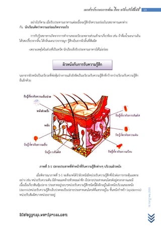 เอกสารประกอบการสอน เรื่อง อวัยวะรับสัมผัส            13



         อย่างไรก็ตาม เมื่อรับประทานอาหารแต่ละมื้อจะรู้สึกถึงความอร่อยในรสอาหารแตกต่าง
กัน นักเรียนคิดว่าความอร่อยเกิดจากอะไร

           การรับรู้รสอาหารเกิดจากการทางานของอวัยวะหลายส่วนเข้ามาเกี่ยวข้อง เช่น ถ้าดื่มน้ามะนาวเย็น
ได้รสเปรี้ยวจากลิ้น ได้กลิ่นมะนาวจากจมูก รู้สึกเย็นจากผิวลิ้นที่สัมผัส

        -เพราะเหตุใดในช่วงที่เป็นหวัด นักเรียนจึงรับประทานอาหารได้ไม่อร่อย


                                     ผิวหนังกับการรับความรู้สึก
นอกจากผิวหนังเป็นอวัยวะที่ห่อหุ้มร่างกายแล้วยังจัดเป็นอวัยวะรับความรู้สึกที่กว้างกว่าอวัยวะรับความรู้สึก
อื่นอีกด้วย




                 ภาพที่ 5-1 ปลายประสาทที่ทาหน้าที่รับความรู้สึกต่างๆ บริเวณผิวหนัง

                  เมื่อพิจารณาภาพที่ 5-1 จะสังเกตได้ว่าผิวหนังมีหน่วยรับความรู้สึกซึ่งไวต่อการกระตุ้นเฉพาะ
อย่าง เช่น หน่วยรับความดัน มีลักษณะคล้ายหัวหอมผ่าซีก มีปลายประสาทเดนไดรต์อยู่ตรงกลางและมี
เนื้อเยื่อเกี่ยวฟันหุ้มปลาย ประสาทอยู่รอบๆหน่วยรับความรู้สึกชนิดนี้ฝังลึกอยู่ในผิวหนังบริเวณของหนัง
                                                                                                                  16 กรกฎาคม 2555




(dermis)หน่วยรับความรู้สึกเจ็บปวดจะเป็นปลายประสาทเดนไดรต์ที่แทรกอยู่ใน ชั้นหนังกาพร้า (epidermis)
หน่วยรับสัมผัสบางหน่วยอาจอยู่



Biologynsp.wordpress.com
 