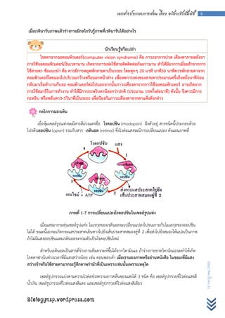 เอกสารประกอบการสอน เรื่อง อวัยวะรับสัมผัส          6



เมื่อเรตินารับภาพแล้วร่างกายมีกลไกรับรู้ภาพที่เรตินารับได้อย่างไร


                                            นักเรียนรู้หรือเปล่า
       โรคตาจากจอคอมพิวเตอร์(computer vision syndrome) คือ ภาวะอาการปวด เคืองตาภายหลังจา
การใช้จอคอมพิวเตอร์เป็นเวลานาน เกิดจากการเพ่งใช้สายติดติดต่อกันยาวนาน ทาให้มีอาการเมื่อยล้าจากการ
ใช้สายตา ข้อแนะนา คือ ควรมีการหยุดพักสายตาเป็นระยะ โดยทุกๆ 20 นาที นาที30 นาทีควรพักสายตาจาก
คอมพิวเตอร์โดยมองไปบริเวณกว้างหรือนอกหน้าต่าง เพื่อลดการเพ่งของสายตาประมาณครึ่งถึงหนึ่งนาทีก่อน
กลับมาเริ่มทางานกับจอ คอมพิวเตอร์ต่อไปนอกจากนั้นภาวะเคืองตาจากการใช้จอคอมพิวเตอร์ อาจเกิดจาก
การใช้สมาธิในการทางาน ทาให้มีการกะพริบตาน้อยกว่าปกติ (ประมาณ 10ครั้งต่อนาที) ดังนั้น จึงควรมีการ
กะพริบ หรือหลับตา3-5วินาทีเป็นระยะ เพื่อป้องกันภาวะเคืองตาจากตาแห้งดังกล่าว

       กลไกการมองเห็น

      เยื่อหุ้มเซลล์รูปแท่งจะมีสารสีม่วงแดงชื่อ โรดอปซิน (rhodopsin) ฝังตัวอยู่ สารชนิดนี้ประกอบด้วย
โปรตีนออปซิน (opsin) รวมกับสาร เรตินอล (retinol) ซึ่งไวต่อแสงจะมีการเปลี่ยนแปลง ดังแผนภาพที่




                         ภาพที่ 1-7 การเปลี่ยนแปลงโรดอปซินในเซลล์รูปแท่ง

         เมื่อแสงมากระตุ่นเซลล์รูปแท่ง โมเรกุลของเรตินอลจะเปลี่ยนแปลงไปจนเกาะกับโมเลกุลของออปซิน
ไม่ได้ ขณะนี้เองจะเกิดกระแสประสาทเดินทางไปยังเส้นประสาทสมองคู่ที่ 2 เพื่อส่งไปยังสมองให้แปลเป็นภาพ
ถ้าไม่มีแสงออปซินและเรตินอลจะรวมตัวเป็นโรดอปซินใหม่

        สาหรับเรตินอลเป็นสารที่ร่างกายสังเคราะห์ขึ้นได้จากวิตามินเอ ถ้าร่างกายขาดวิตามินเอจะทาให้เกิด
โรคตาฟางในช่วงเวลาที่มีแสงสว่างน้อย เช่น ตอนพลบค่า เมื่อเรามองภาพหรืออ่านหนังสือ ในขณะที่มีแสง
สว่างจ้าหรือใช้สายตามากจะรู้สึกตาพร่ามัวที่เป็นเพราะเช่นนั้นเพราะเหตุใด
                                                                                                            16 กรกฎาคม 2555




         เซลล์รูปกรวยแบ่งตามความไวต่อช่วงความยาวคลื่นของแสงได้ 3 ชนิด คือ เซลล์รูปกรวยที่ไวต่อแสงสี
น้าเงิน เซลล์รูปกรวยที่ไวต่อแสงสีแดง และเซลล์รูปกรวยที่ไวต่อแสงสีเขียว

Biologynsp.wordpress.com
 