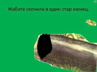 Жабата скочила в един стар кюнец.
 