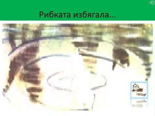Рибката избягала...
 