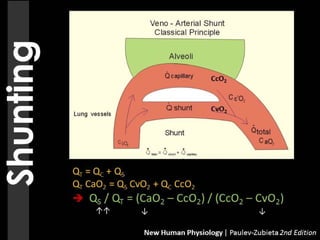 respiratory physiology, 