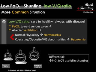 respiratory physiology, 