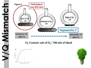 respiratory physiology, 