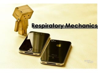 respiratory physiology, 